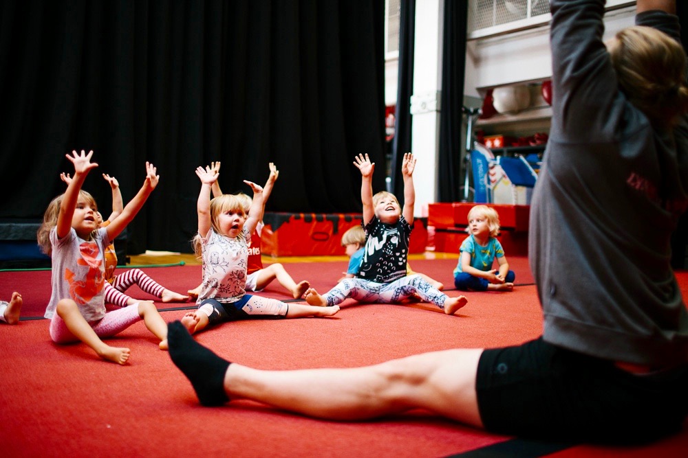 Saapasjalkakissat 3140