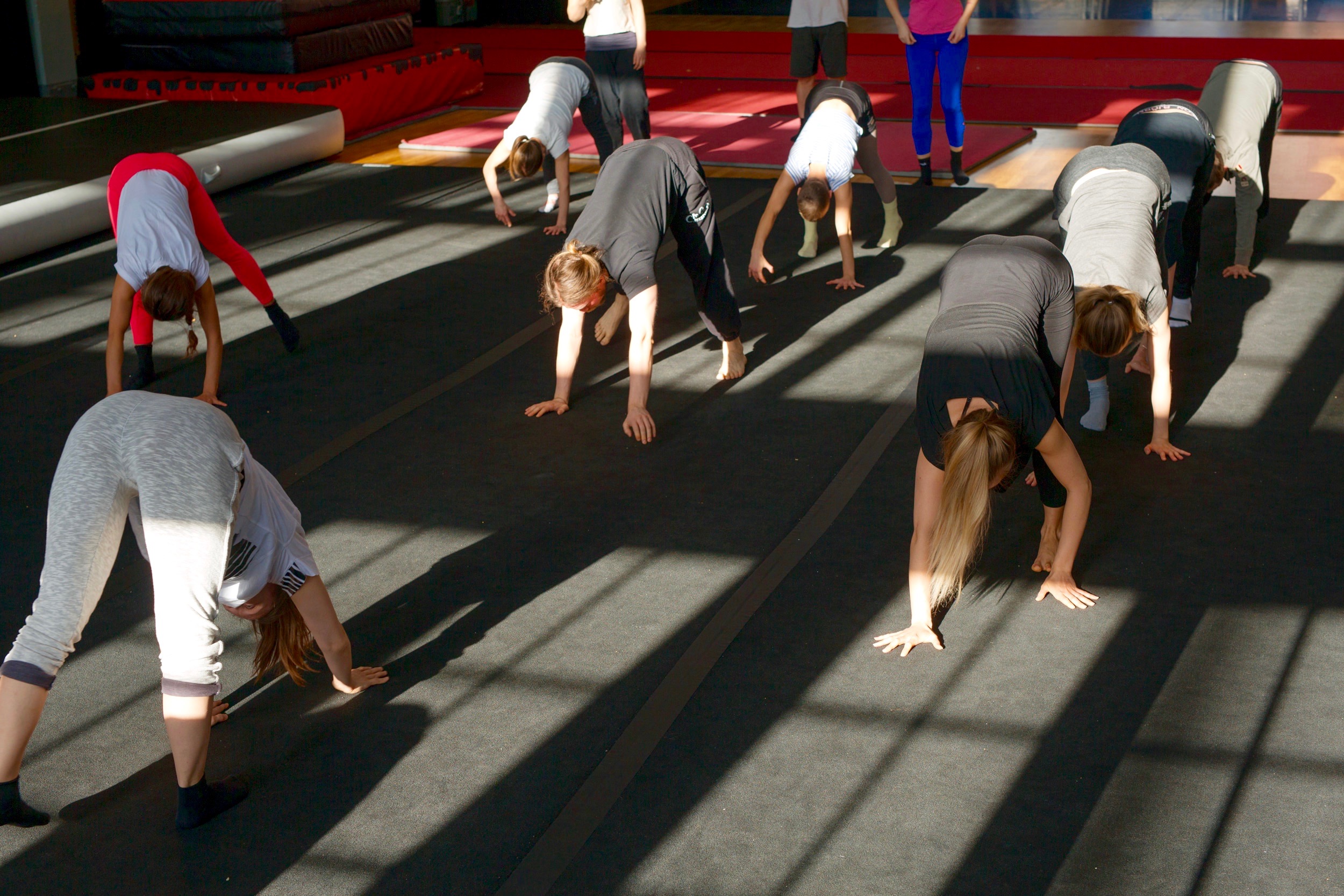 7150 Akro ja sirkus perustaso: Pyöriäiset