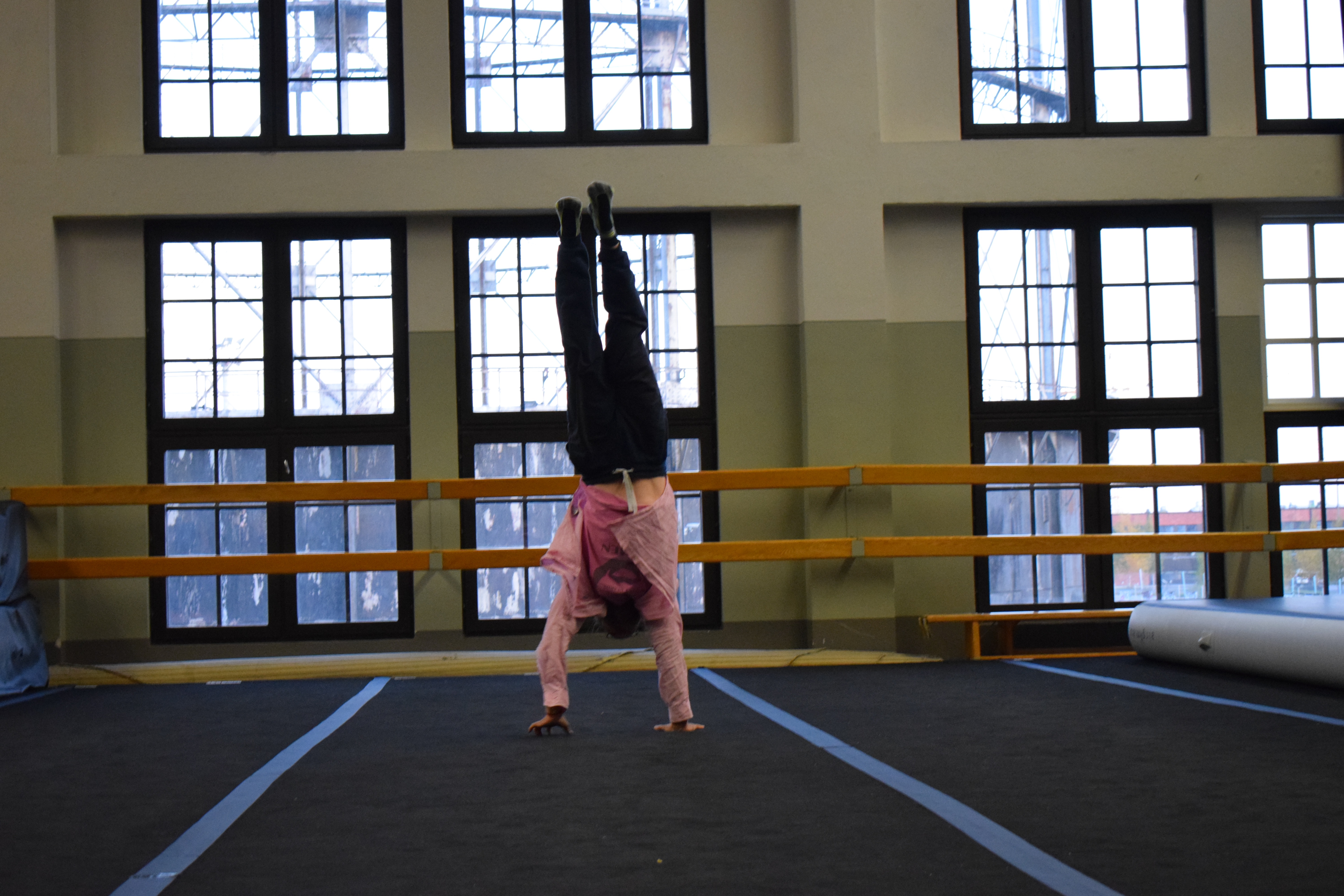 7330 Käsinseisonta jatkotaso: Marmorisiivet